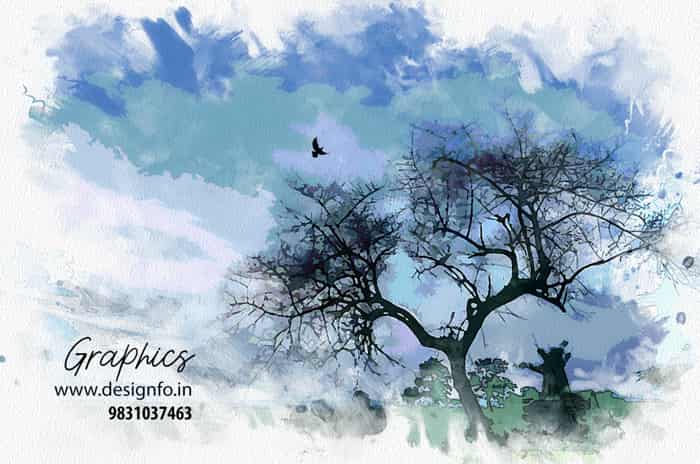 Singur Web Graphic Design